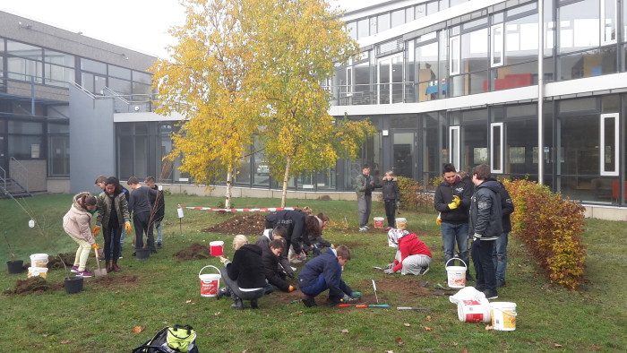 Abtragen der Grasnarbe und Aushub für die Obstbäume.