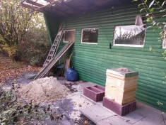 Das Bienenhaus