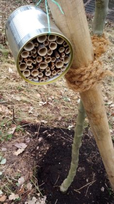 Bienenhotel basteln – Teil 3