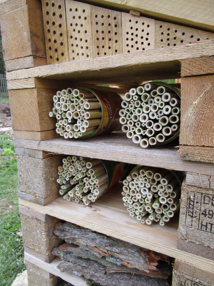 Wohnungsausbau: um ca. 250 Bambusröhrchen-Wohnungen für Wildbienen ist das Insektenhotel erweite ...