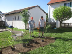 Grübel, grübel und studier. Pflanzen will überlegt sein