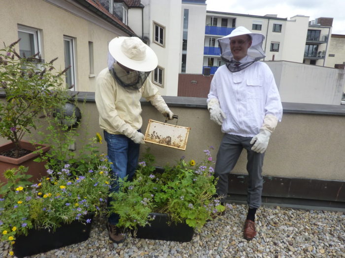 Gemeinsam arbeiten die Beiden daran unsere Dachterrasse weiter aufblühen zu lassen, dass sich un ...