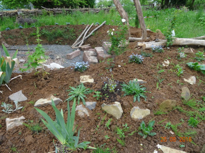 Die Außenanlagen unseres Gartenrondells haben wir bepflanzt