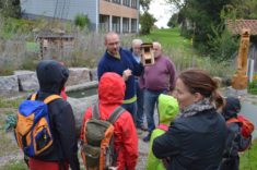 Hotzenwald: Haselmauskästen zeigen und erklären